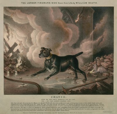 London brannmannens hund av William Heath