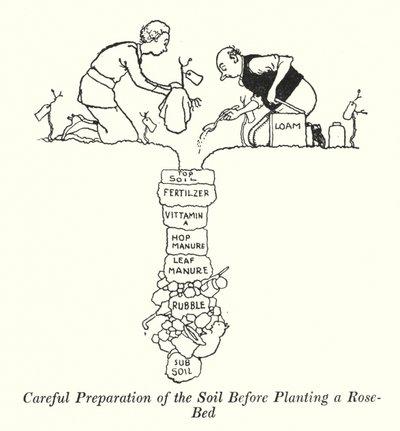 Nøye forberedelse av jorda før du planter et rosebed (litho) av William Heath Robinson