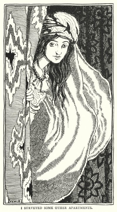 Jeg undersøkte noen andre leiligheter (gravering) av William Heath Robinson