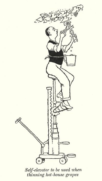 Selvheis som skal brukes ved tynning av drivhusdruer (litho) av William Heath Robinson