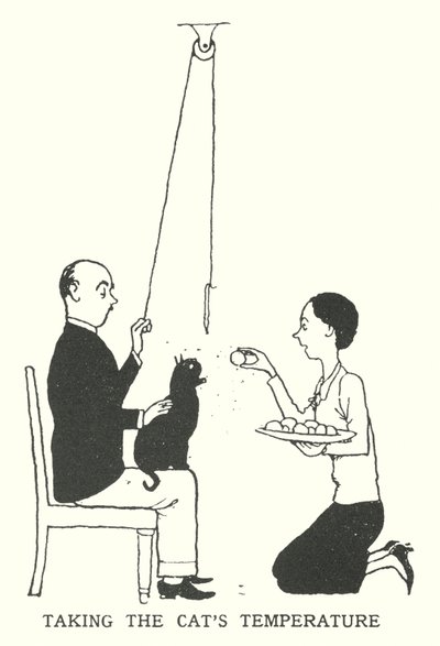Tar kattens temperatur (litho) av William Heath Robinson
