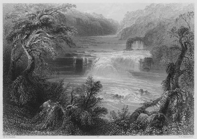 Laksesprang ved Leixlip (gravering) av William Henry (after) Bartlett