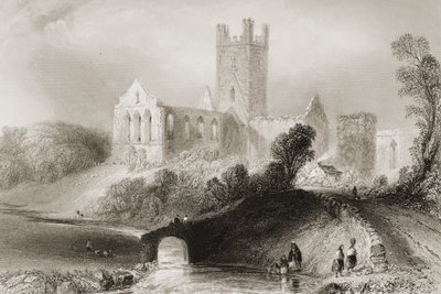 Jerpoint Abbey, County Kilkenny, Irland, fra "Scenery and Antiquities of Ireland" av George Virtue, 1860-tallet av William Henry Bartlett