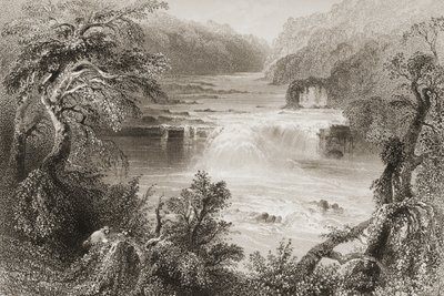 Salmon Leap at Leixlip, County Kildare, fra "Scenery and Antiquities of Ireland" av George Virtue, 1860-tallet av William Henry Bartlett