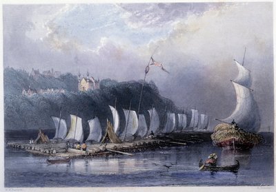 Tømmertransport på St Laurent ved Cap Santé - i "" kanadisk natur illustrert"" av Bartlett W. H. av William Henry Bartlett