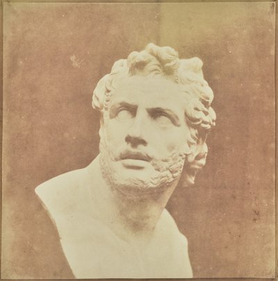  av William Henry Fox Talbot