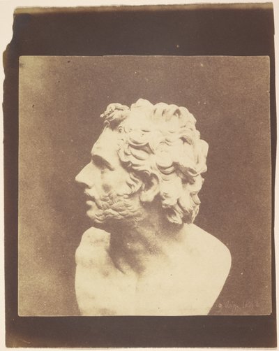  av William Henry Fox Talbot