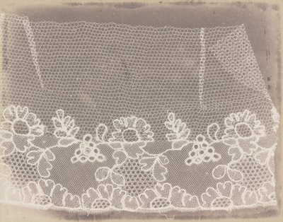 Blonder av William Henry Fox Talbot