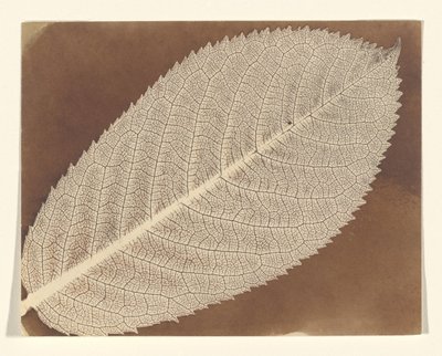  av William Henry Fox Talbot