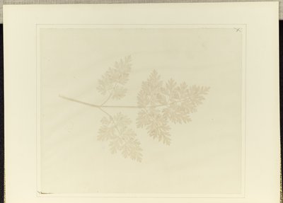  av William Henry Fox Talbot