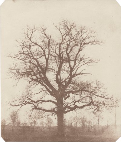  av William Henry Fox Talbot