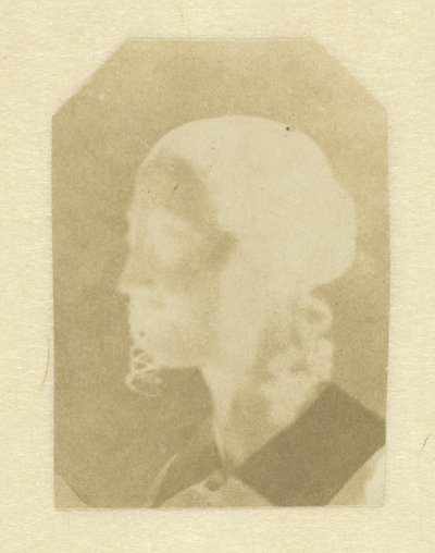  av William Henry Fox Talbot