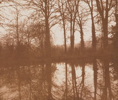 Reflections, 1843 (sepia-bilde) av William Henry Fox Talbot