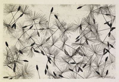 Talbot-bilde 24 1730 av William Henry Fox Talbot