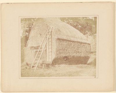  av William Henry Fox Talbot
