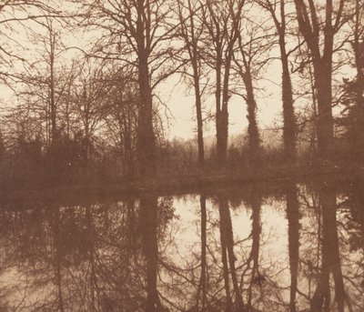 Vintertrær, reflektert i en dam av William Henry Fox Talbot