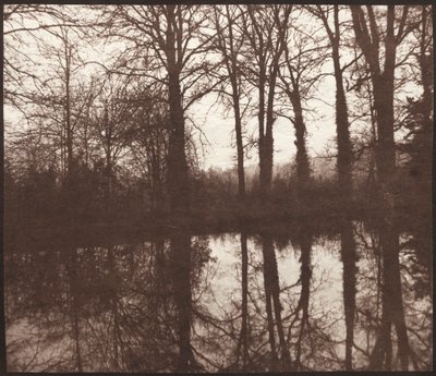 Vintertrær reflektert i en dam av William Henry Fox Talbot