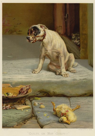Skyldig eller ikke skyldig (chromolitho) av William Henry Hamilton Trood