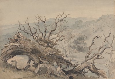 En veltet eik av William Henry Hunt