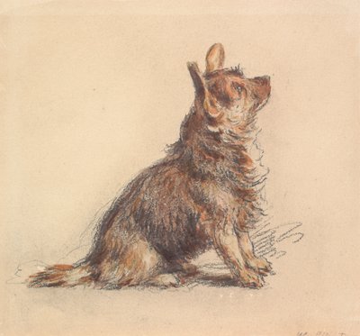  av William Henry Hunt