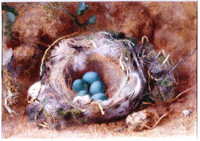 Fugleredet, ca 1825-1850 (Akvarell og gouache) av William Henry Hunt