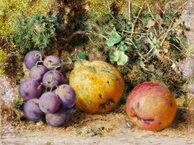 Black Grapes, Quince og Newtown Pippin, 1861 (wc på kort) av William Henry Hunt