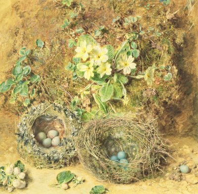Primroser og fuglerede av William Henry Hunt