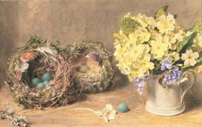 Vårblomster og fuglereder, ca. 1830 (akvarell og kroppsfarge på papir) av William Henry Hunt