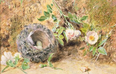 Stilleben med bokfinkereir av William Henry Hunt