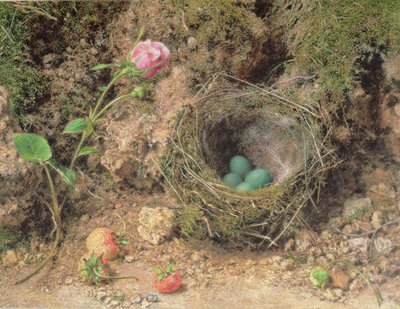 Stilleben med fuglerede av William Henry Hunt