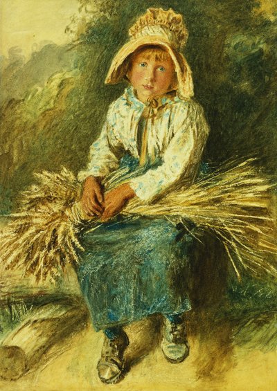 Den unge samleren, av William Henry Hunt