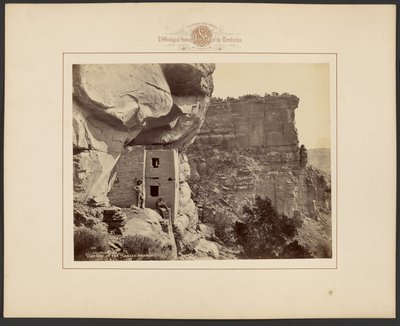  av William Henry Jackson