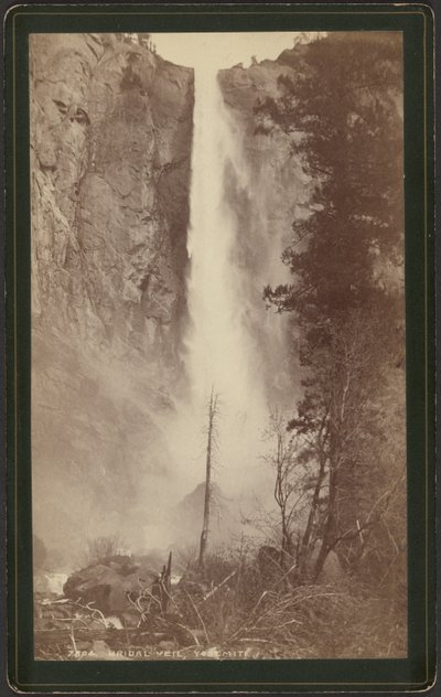  av William Henry Jackson