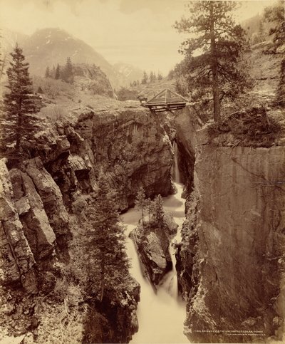  av William Henry Jackson