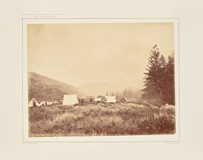  av William Henry Jackson