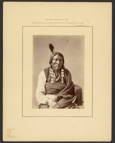 [Angrep på Hauk - (Brulé Dakota)] av William Henry Jackson