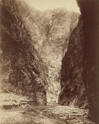  av William Henry Jackson