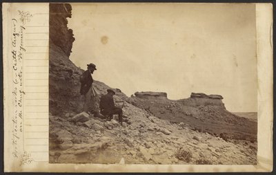  av William Henry Jackson