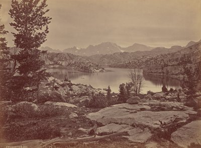  av William Henry Jackson