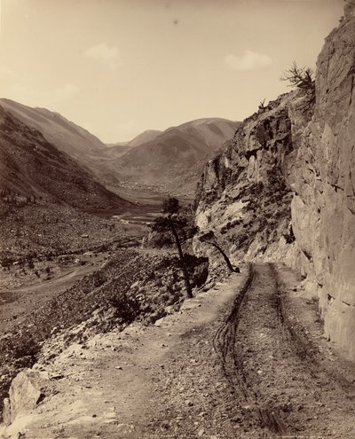  av William Henry Jackson