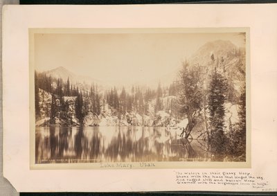  av William Henry Jackson