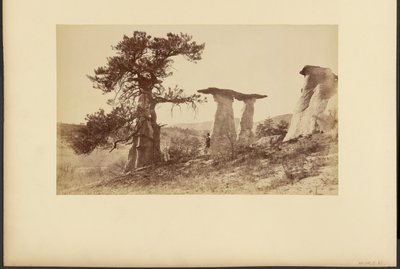  av William Henry Jackson