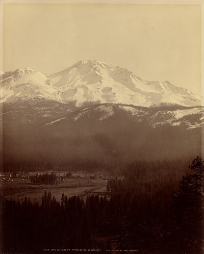  av William Henry Jackson