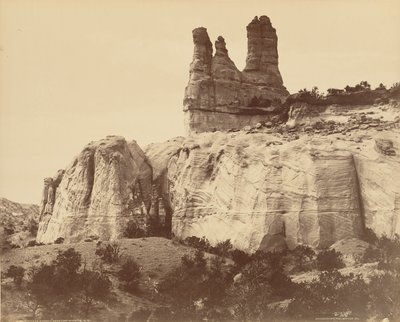  av William Henry Jackson
