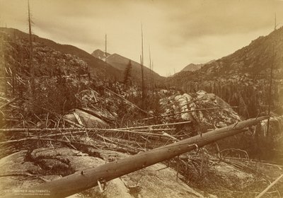  av William Henry Jackson
