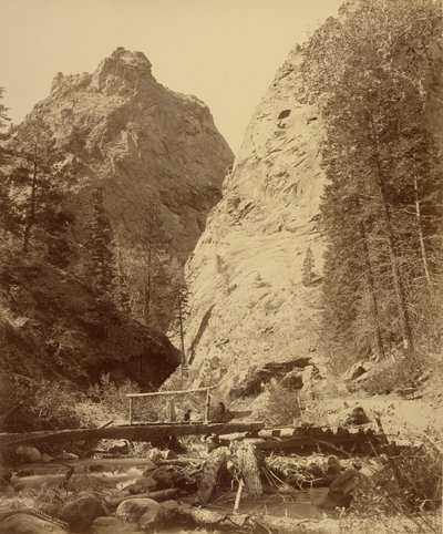  av William Henry Jackson