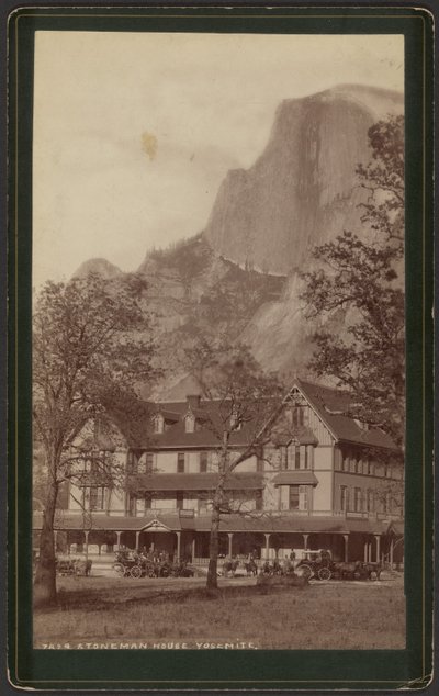  av William Henry Jackson