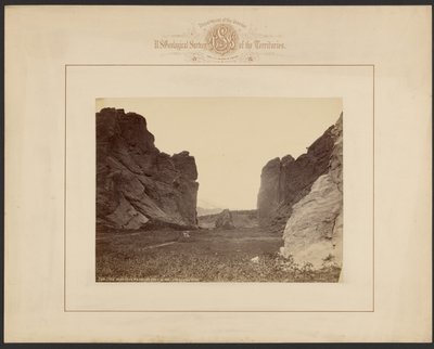  av William Henry Jackson