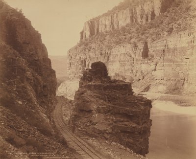  av William Henry Jackson