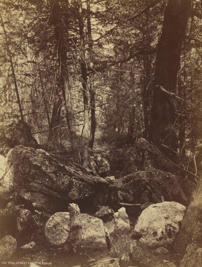Stien i West Gallatin Cañon, ca. 1870-årene. av William Henry Jackson